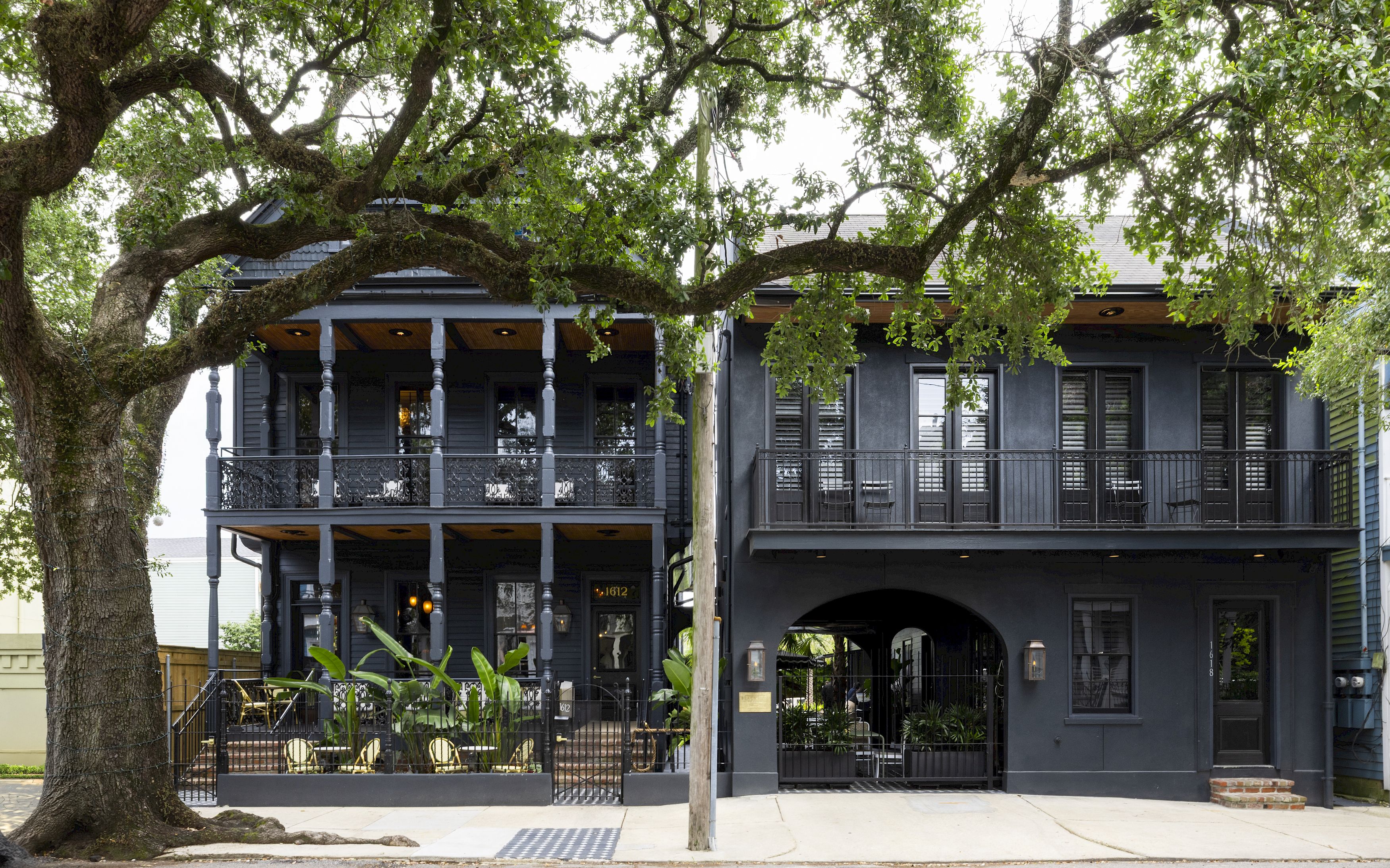 Blackbirds Clubsmith キャメロン　CLUBHAUS Explore New Orleans Hotel Photo Gallery | The Blackbird Hotel